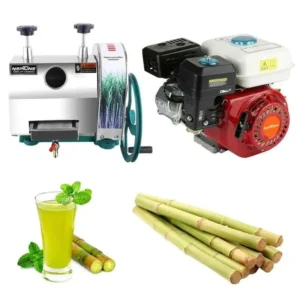 Neptune 3.6L 6.5HP Stainless Steel Manual Sugarcane Juice Machine