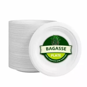 GENERIC 228.6 mm(9 Inch) Eco-friendly and Biodegradable Disposable Plates (Pack of 50)